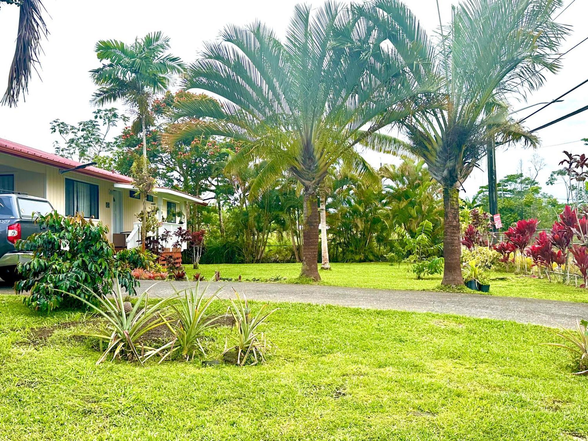 شقة Big Island Getaway Pahoa المظهر الخارجي الصورة